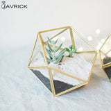 Geometric Glass Terrarium Jewelry Holder & Planter Box