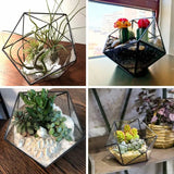 Glass Terrarium Jewelry Holder