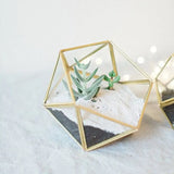 Glass Terrarium Jewelry Holder