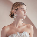 Freshwater Pearl Hairpin Comb, Crystal Earrings Wedding Accessories