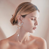 Freshwater Pearl Hairpin Comb, Crystal Earrings Wedding Accessories