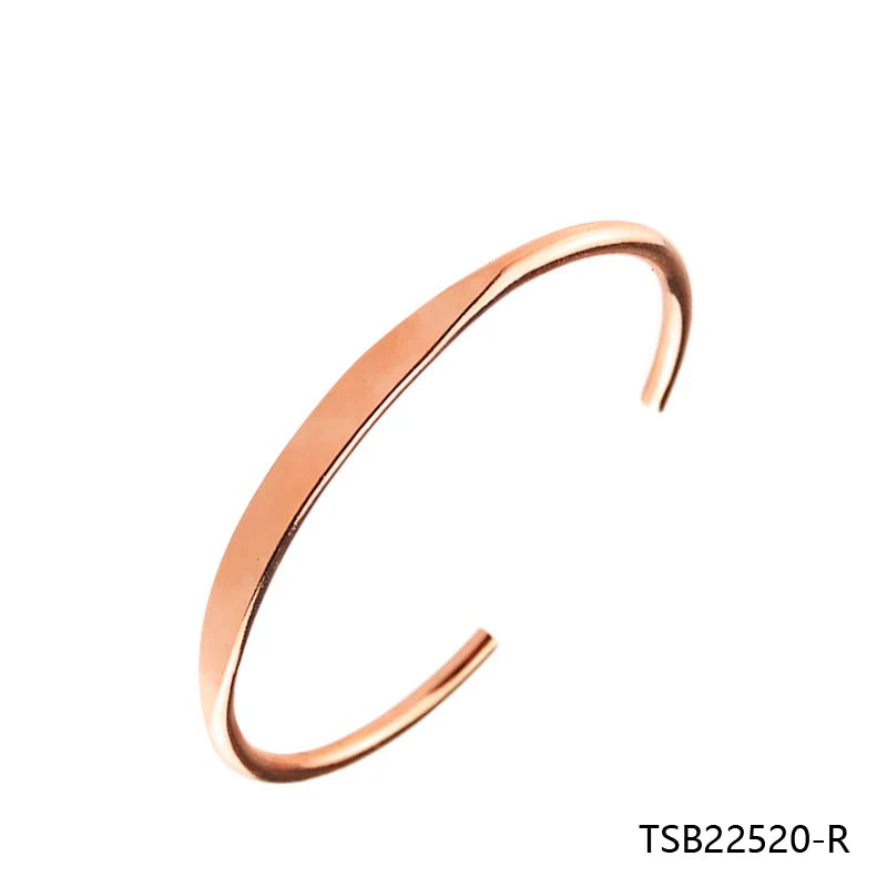 Fruit Rose Silver Bangle Bracelet Chain Women's Jewelry Gift