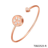 Furit Rose Silver Bangle Bracelet Chain Bracelet TSB22523