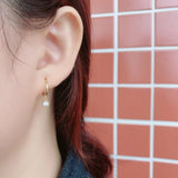 Hoop Earrings S925 Sterling Silver Diamond Charms Jewelry Gift