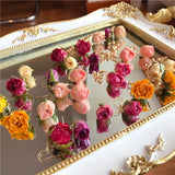 Dried Flower Drop Earrings Resin Epoxy Colorful Rose Petal Women Earring