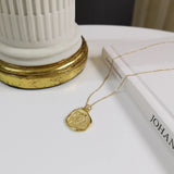 925 Silver Owl Necklace Golden Animal Pendant S925 Jewelry