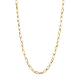 Stainless Steel Thin Chain Exaggerated Necklace
