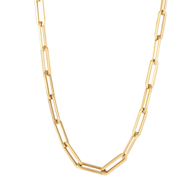 Stainless Steel Thin Chain Exaggerated Necklace
