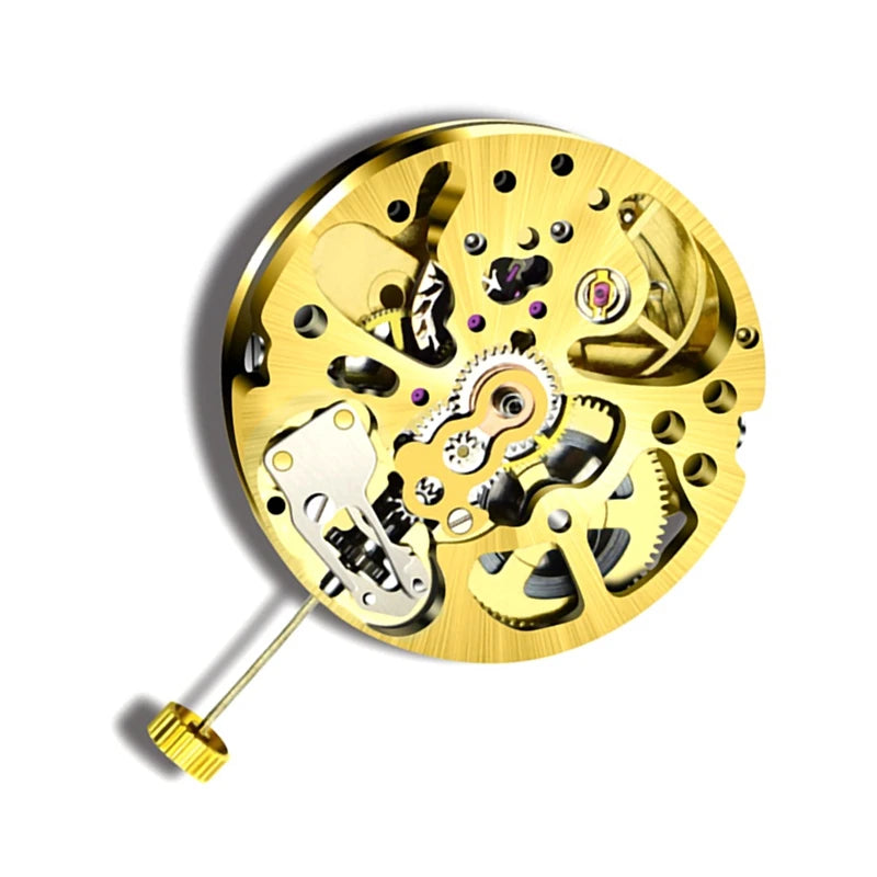 Skeleton 2004 Movement Automatic Watch