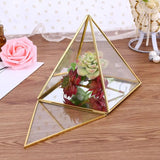 Modern Glass Geometric Terrarium Wall Hanging Planter Pot