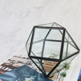 Modern Glass Geometric Terrarium Wall Hanging Planter Pot