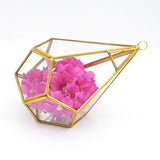 Modern Glass Geometric Terrarium Wall Hanging Planter Pot
