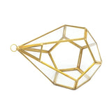 Modern Glass Geometric Terrarium Indoor Planter