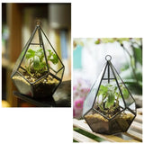 Modern Glass Geometric Terrarium Wall Hanging Planter Pot