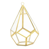 Modern Glass Geometric Terrarium Indoor Planter