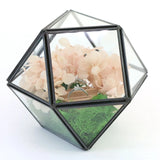 Modern Glass Geometric Terrarium Wall Hanging Planter Pot