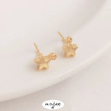 Gold-Plated Heart-Shaped Star Earrings S925 Silver Needle DIY Jewelry