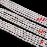 Freshwater Pearl Beads Rice Shape Punch Loose Beads DIY Necklace Bracelet