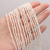 Natural Freshwater Pearls Beaded 2-3mm Potato Shape Loose Beads