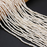 Natural Freshwater Pearls Beaded 2-3mm Potato Shape Loose Beads