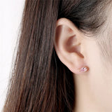 925 Sterling Pink Zircon Fish Stud Earrings for Women