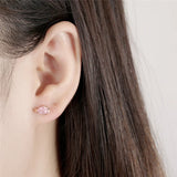 925 Sterling Pink Zircon Fish Stud Earrings for Women