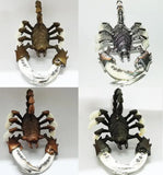 Gothic Punk Necklace Tibetan Silver Scorpion Double Teeth Sets
