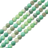 Grass Agate Faceted Round Loose Beads Strand 3/4/6/8mm