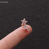 2pcs Stainless Steel Five-pointed Star Earrings