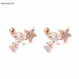 2pcs Stainless Steel Five-pointed Star Earrings