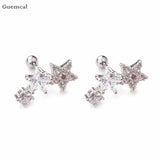 2pcs Stainless Steel Five-pointed Star Earrings