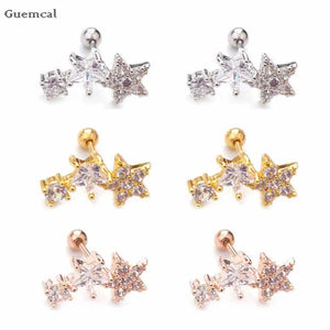 2pcs Stainless Steel Five-pointed Star Earrings