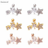 2pcs Stainless Steel Five-pointed Star Earrings