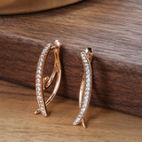 Minimalist Style Rose Drop Earrings Natural Zircon Jewelry