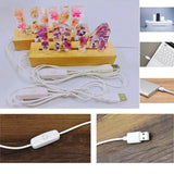 H9ED Wooden Base for Creative Crafts Solid Wood Luminous Base
