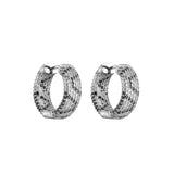 HECHENG,CZ Crystal Snakeskin Hoop Earrings Women Small Hoop Earrings VE477