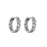 HECHENG,CZ Crystal Snakeskin Hoop Earrings Women Small Hoop Earrings VE477