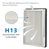 2-Pack HEPA Filter Replacement for MA-25 Air Purifier - True HEPA H13 Filter
