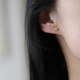 925 Silver Cat Stud Earrings Women 14K Plated Small Party Jewelry