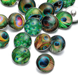 12pcs Peacock Feathers Glass Snap Buttons for DIY 18mm Snaps Jewelry