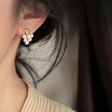 Freshwater Pearl Stud Earrings 4-5mm for Women Girl Gift
