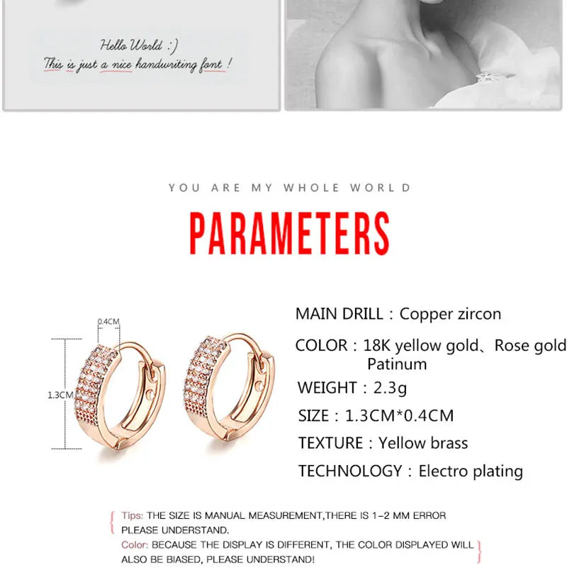 HUAMI Rose Silver Geometric Earrings for Women