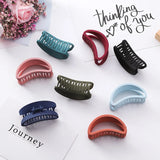 Hair Clips for Women Frosting Light Hair Pins Student