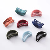 Hair Clips for Women Frosting Light Hair Pins Student