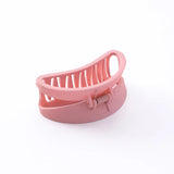 Hair Clips for Women Frosting Light Hair Pins Student