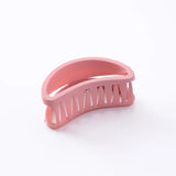 Hair Clips for Women Frosting Light Hair Pins Student