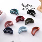 Hair Clips for Women Frosting Light Hair Pins Student