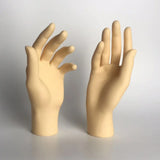 Hand Bangle Watch Jewelry Display Organizer Art Supply Holder