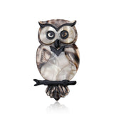 Acrylic Owl Brooch Pins Resin Bird Brooches for Women Animal Broche