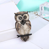 Acrylic Owl Brooch Pins Resin Bird Brooches for Women Animal Broche